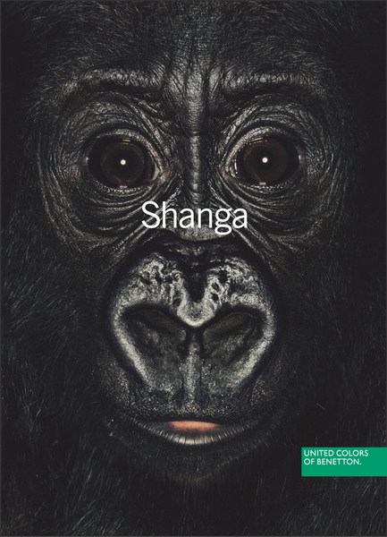 ��������� ��������� ��������. ������ � ������ ��������.