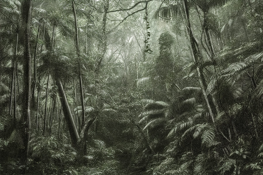 ���� Cartier ��������� � ������ �������� � ��������