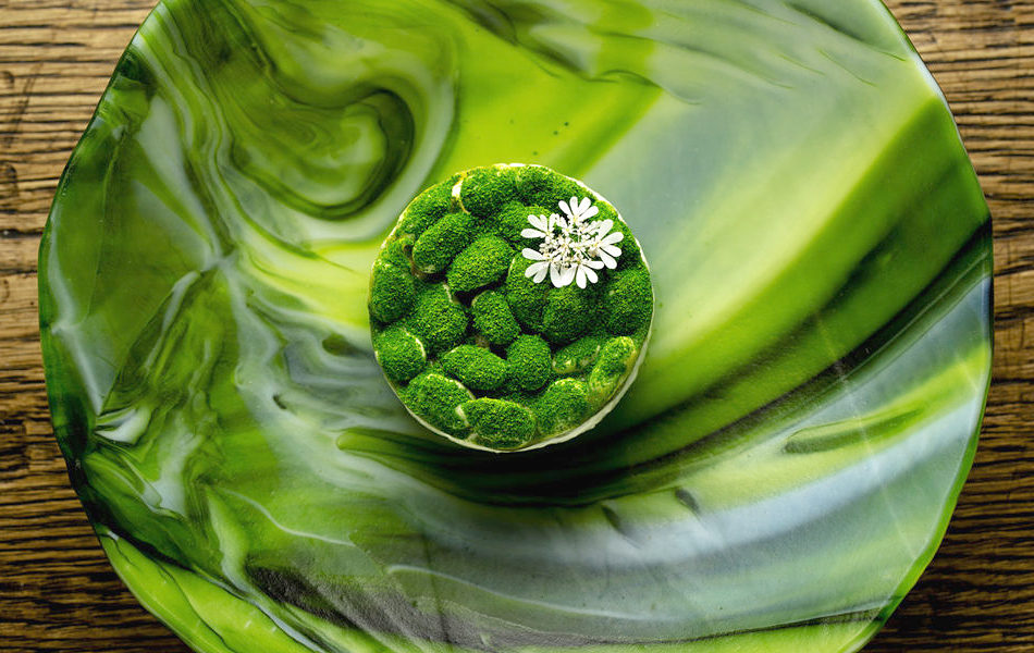 ���� ���� ���� �� ��������� ���������������� �����������