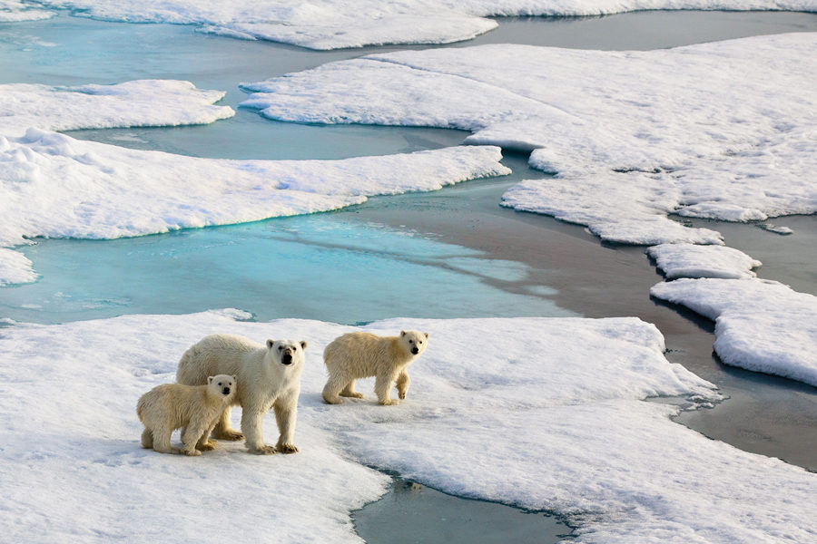 ������ � ���� � ���������� ����������