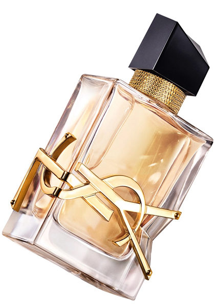 ������� � ������ � ����� ������� YSL