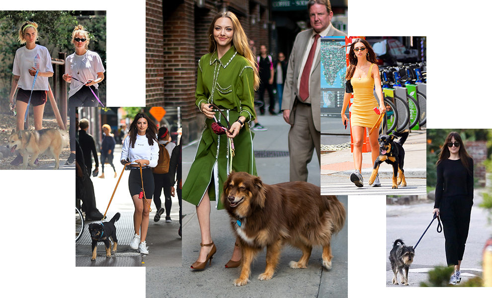 � ��� ������ ������ � ��������