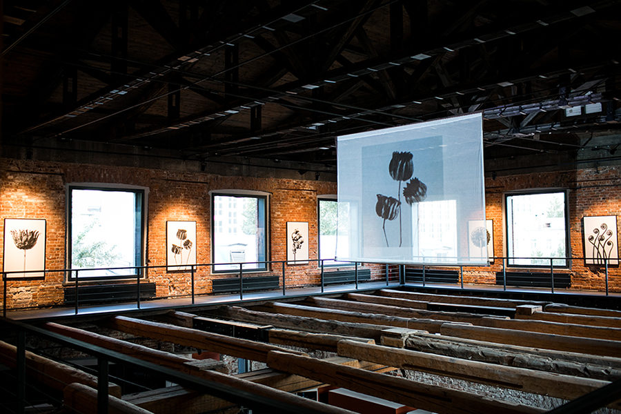 Loewe Perfumes � ��������������� ��������� ���� ���������� ������ �� ���������